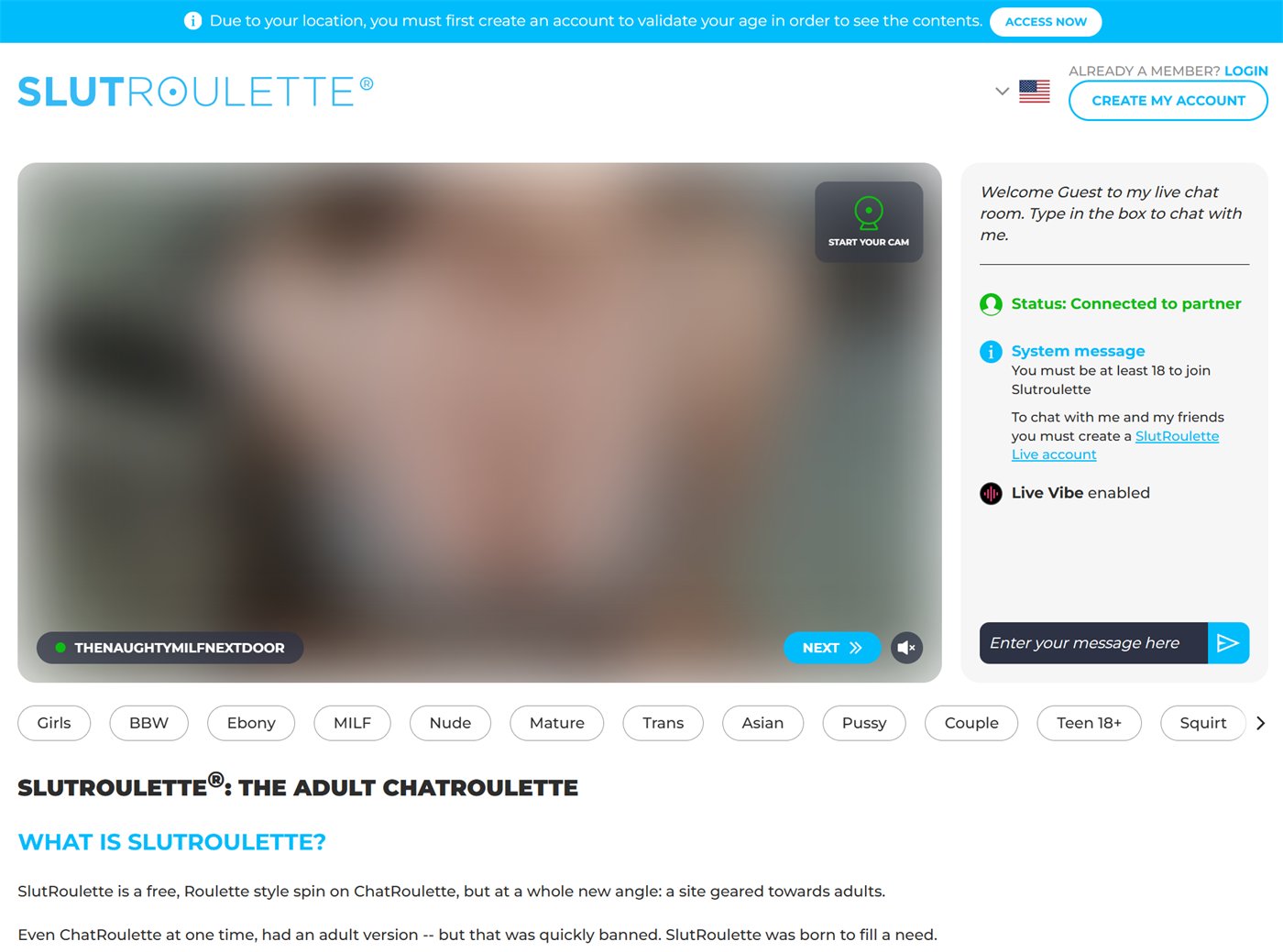 Slutroulette homepage showing the roulette video area, Next button, chat panel and category filters